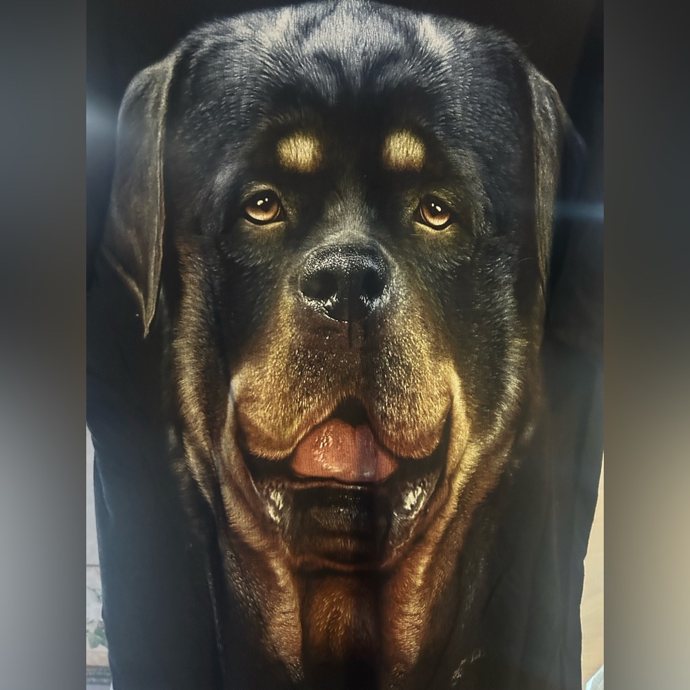 3d Rottweiler portrait tshirt t Large L unisex Rotty dog - Picture 2 of 5
